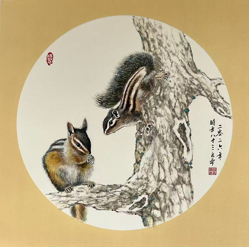 Squirrel diagram